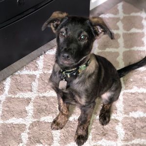 Meet your Posher, Kate